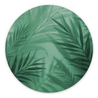 Wanddecoratie Groene palmbladeren - Alu-Dibond - Rond 