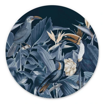Tableau sur alu-Dibond rond Oiseaux tropicaux dans la forêt la nuit - Haase 