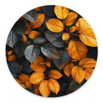 Wanddecoratie Glinsterende bladeren in de herfst - Jaszke - Alu-Dibond rond 