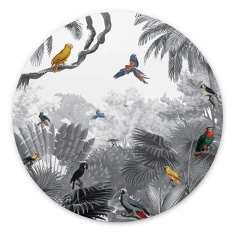 Wandcirkel Kikki Belle - Tropische Vogels in het zwart wit 