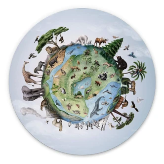 Wandcirkel Kikki Belle - Animals around the World 