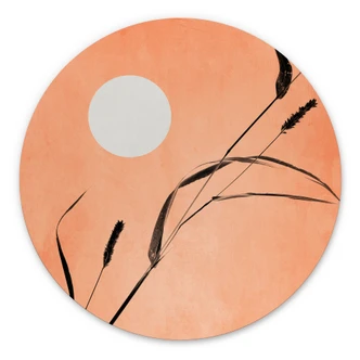 Vægcirkel Siv i ferskenfarvet solskin - Kubistika Vægcirkel Siv i ferskenfarvet solskin - Kubistika