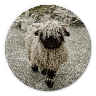 Wandcirkel Landolt - Walk in the Mountains 