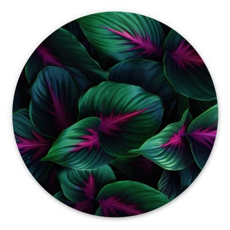 Dibond Wanddecoratie Kleurrijke jungleplanten - Paksoylu 