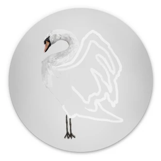 Wandcirkel Zwaan illustratie - Roberg 