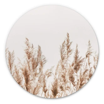 Stampa in Alu-Dibond - Erba tondo 