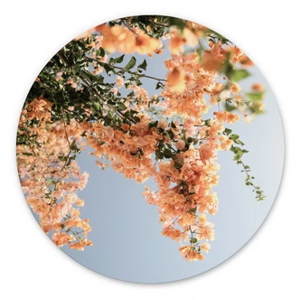 Wandcirkel Perzikkleurige bloesems in Assos - Shot by Clint 