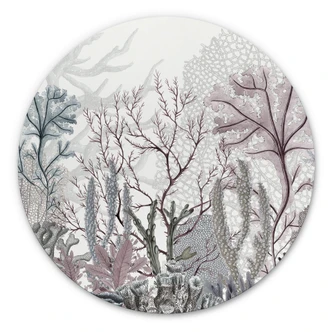 Wandcirkel Sir Edward - Onderwater 