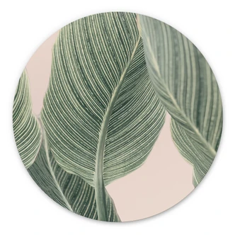 Alu-Dibond Calathea Pflanze - Sisi & Seb - Rund 