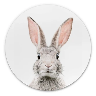 Wandcirkel Sisi & Seb - Konijntje Wandcirkel Sisi & Seb - Konijntje