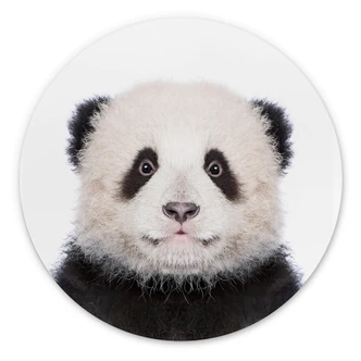 Wandcirkel Sisi & Seb - Baby Panda Wandcirkel Sisi & Seb - Baby Panda