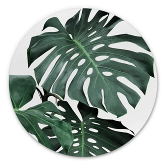 Wandcirkel Sisi & Seb - Monstera Wandcirkel Sisi & Seb - Monstera