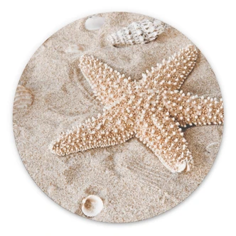 Wandcirkel - Zeester op het Strand 