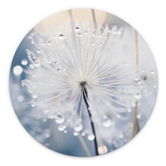 Tableaux Pissenlits scintillants - Treechild - Alu-Dibond - Rond 