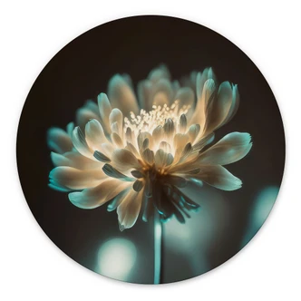 Wandbild Leuchtendes Blütenherz - Treechild - Alu-Dibond Rund 