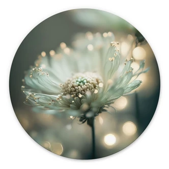 Wandbild Zartes Funkeln der Blüten - Treechild - Alu-Dibond Rund 