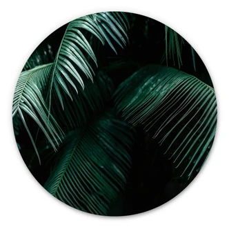 Wandcirkel Tropisch Botanisch Wandcirkel Tropisch Botanisch