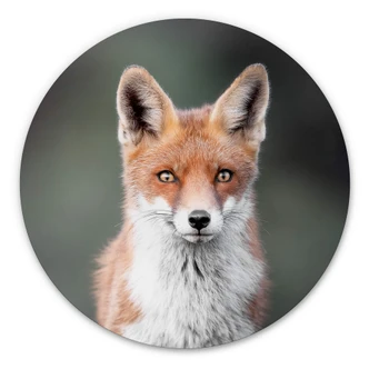 Wandcirkel van Duijn - Fox Eyes Wandcirkel van Duijn - Fox Eyes