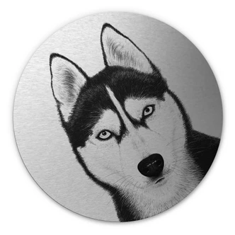 Aluminium Dibond met zilvereffect Siberische husky - Hondenportret - Korenkova - Rond 