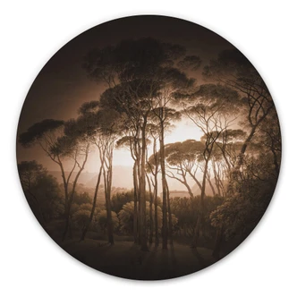 Alu-Dibond Wall Circle Voogd - Italian Landscape with Umbrella Pines 