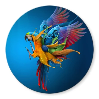 Glasbild Almawash - Der Papagei und das Farbenspiel - Rund 