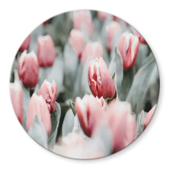 Glasbild Annie - Frühlingstulpen - Rund 