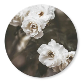 Glasbild Annie - Louise Bugnet - Rund 