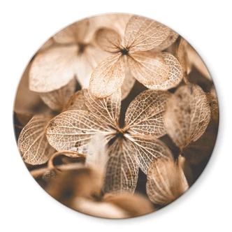 Glasbild Annie - Zarte Blüten - Rund 