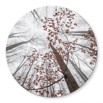 Glasbild Baumkronen mit roten Blättern - Rund - Coman Glasbild Baumkronen mit roten Blättern - Rund - Coman
