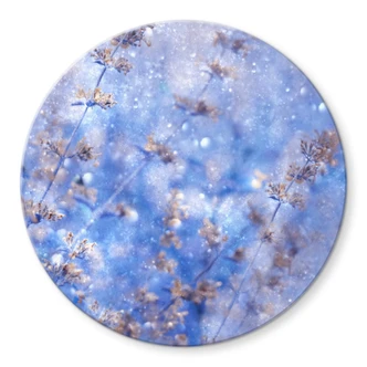 Glasbild Devos - Früher Winter - Rund 