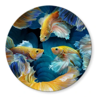 Glasbild Egger - Farbenfrohe Fische - Rund Glasbild Egger - Farbenfrohe Fische - Rund