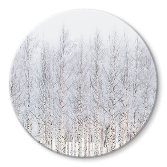 Glasbild Birkenwald im Winter - EMELIEmaria - Rund 
