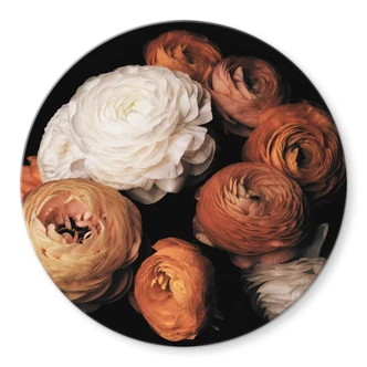 Glasbild FiguraNYC Photography - Ranunkeln Stillleben - Rund 