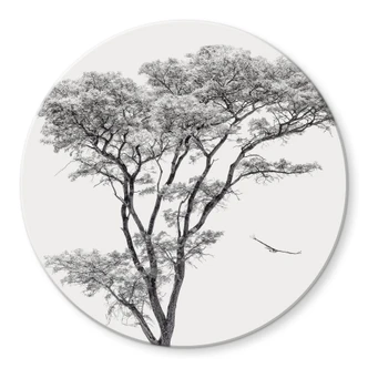 Glasbild Minimalistischer Baum in ruhiger Landschaft - Flour - Rund 