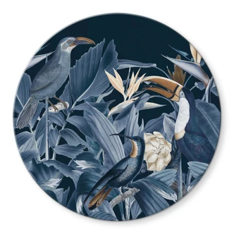 Tableau sur verre Oiseaux tropicaux dans la forêt la nuit - Haase 