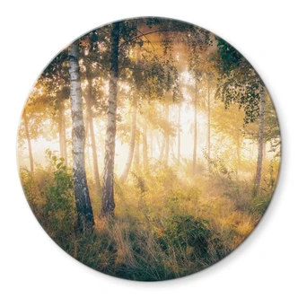 Glasbild Sonnenschein im Birkenwald - Kado - Rund 