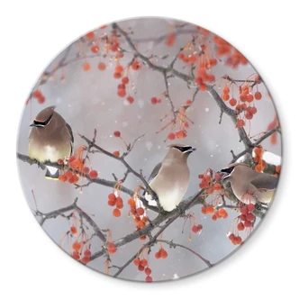 Glasbild Li - Drei Vögel in einer Winterlandschaft - Rund 