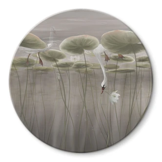 Glasbild Lotusblumen mit Schwan im Wasser in Grau - Ms Tiff - Rund 