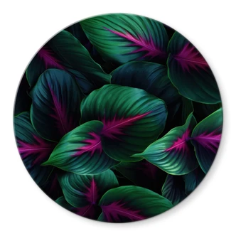 Glasbild Farbenfrohe Dschungelpflanzen - Paksoylu - Rund 