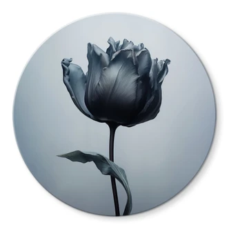Glasbild Samtige Tulpe in Schwarz - Paksoylu - Rund 