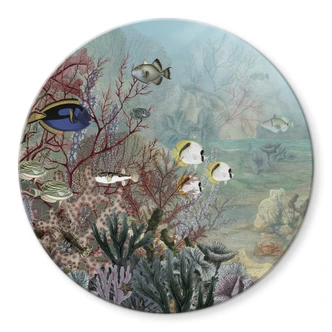 Glasbild Sir Edward - Korallenbewohner - Rund Glasbild Sir Edward - Korallenbewohner - Rund