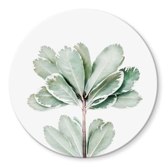 Glasbild Sisi & Seb - Botanik - Rund Glasbild Sisi & Seb - Botanik - Rund
