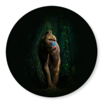 Glasbild Yunta - Im Dschungel - Rund 