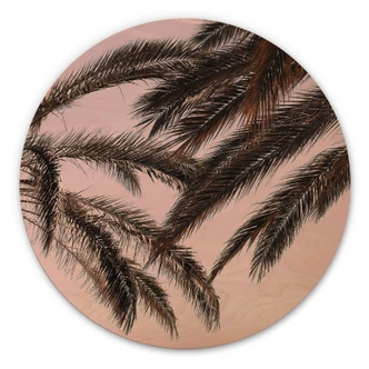 Trätavla 1X Studio - Palmer - Rund 