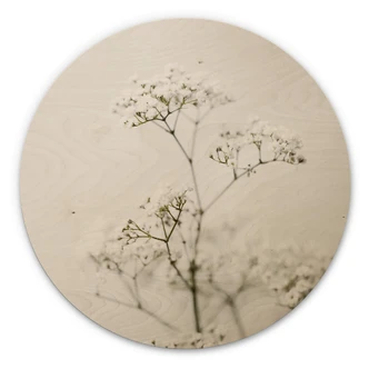 Cuadro de madera Annie - Perifollo de los prados - Redondo 