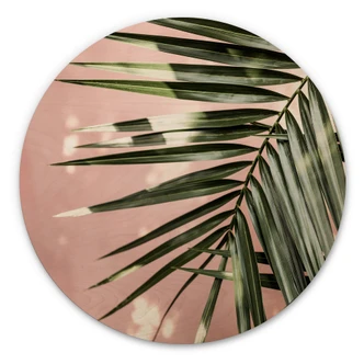 Tableau sur bois rond Feuille de palmier sur mur rose - Böhmer 