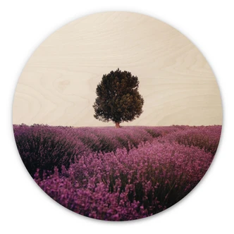 Tableau sur bois Champs de lavande mauves au coucher du soleil - Cevik - Rond 