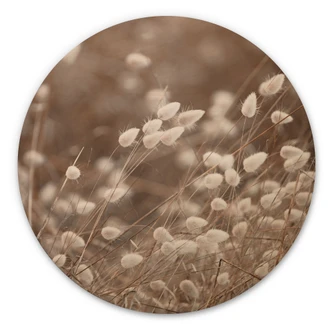 Tableau sur bois Herbes tendres dans la lumière d'automne - Collins - Rond 