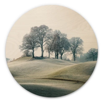 Cuadro de madera Paisaje montañoso escarchado - Eisenmann - Redondo 