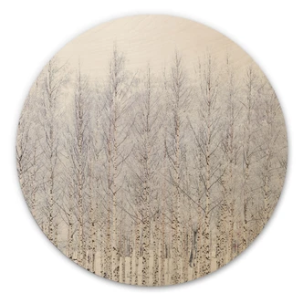 Tableau sur bois Forêt de bouleaux en hiver - EMELIEmaria - Rond 